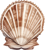 alt)Beach Therapy & Consulting seasheel-dark